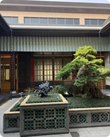 金属门系列